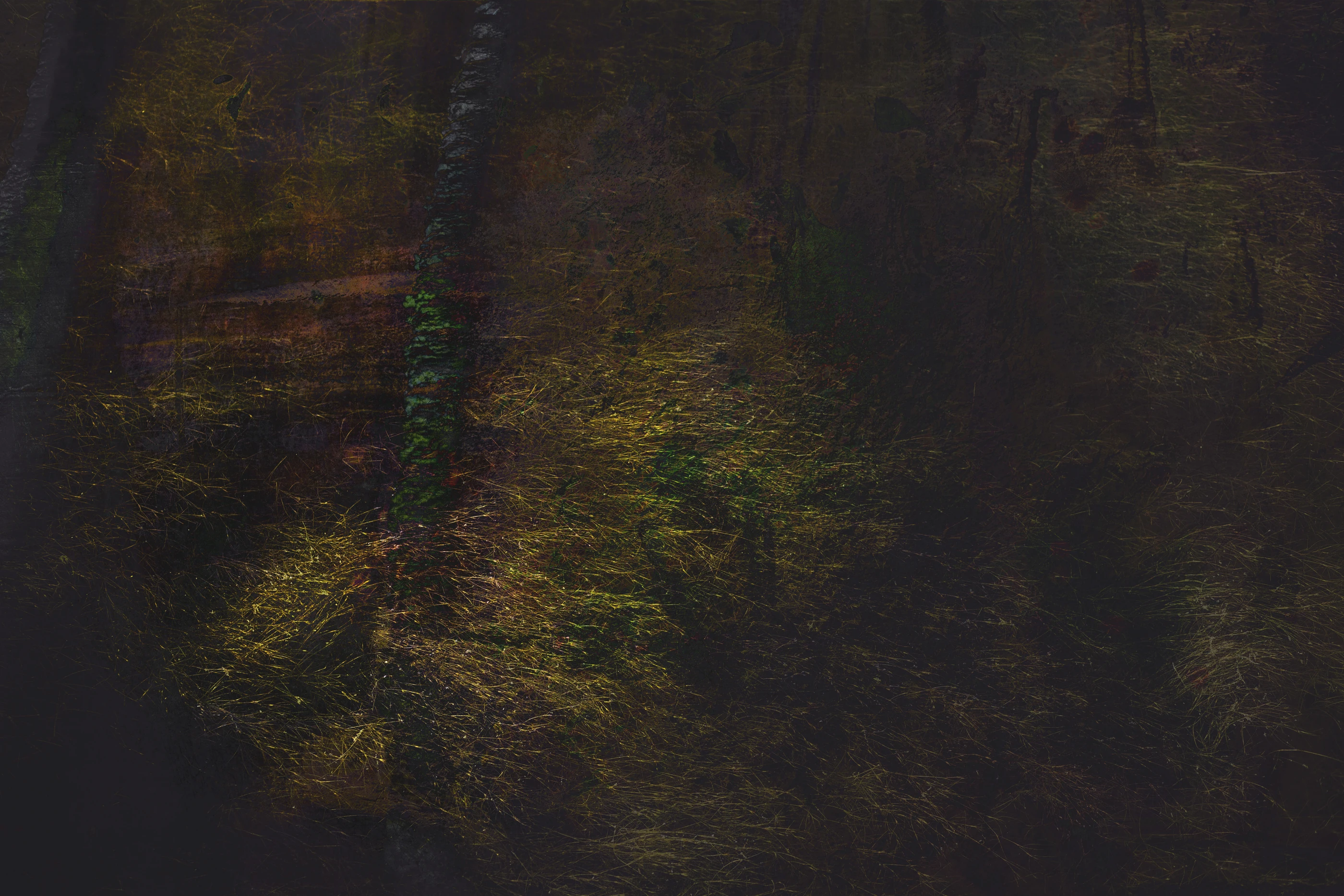 Dark abstract woodland scene built from layered gold and green textures